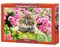 500 Piece Jigsaw Puzzle, Kitten in Flower Garden, Cat puzzle, Kittie puzzle, Cute cat, Adult Puzzle, Castorland B-52974